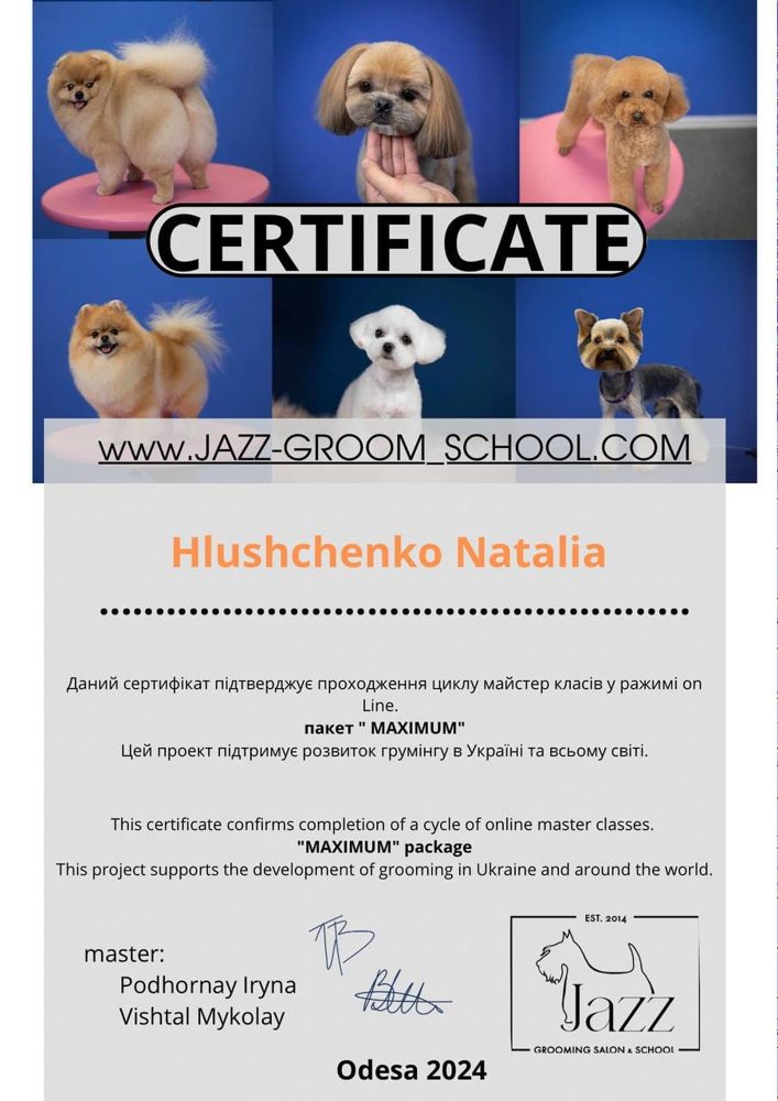 Zertifikat Jazz Grooming School, Odessa 2024